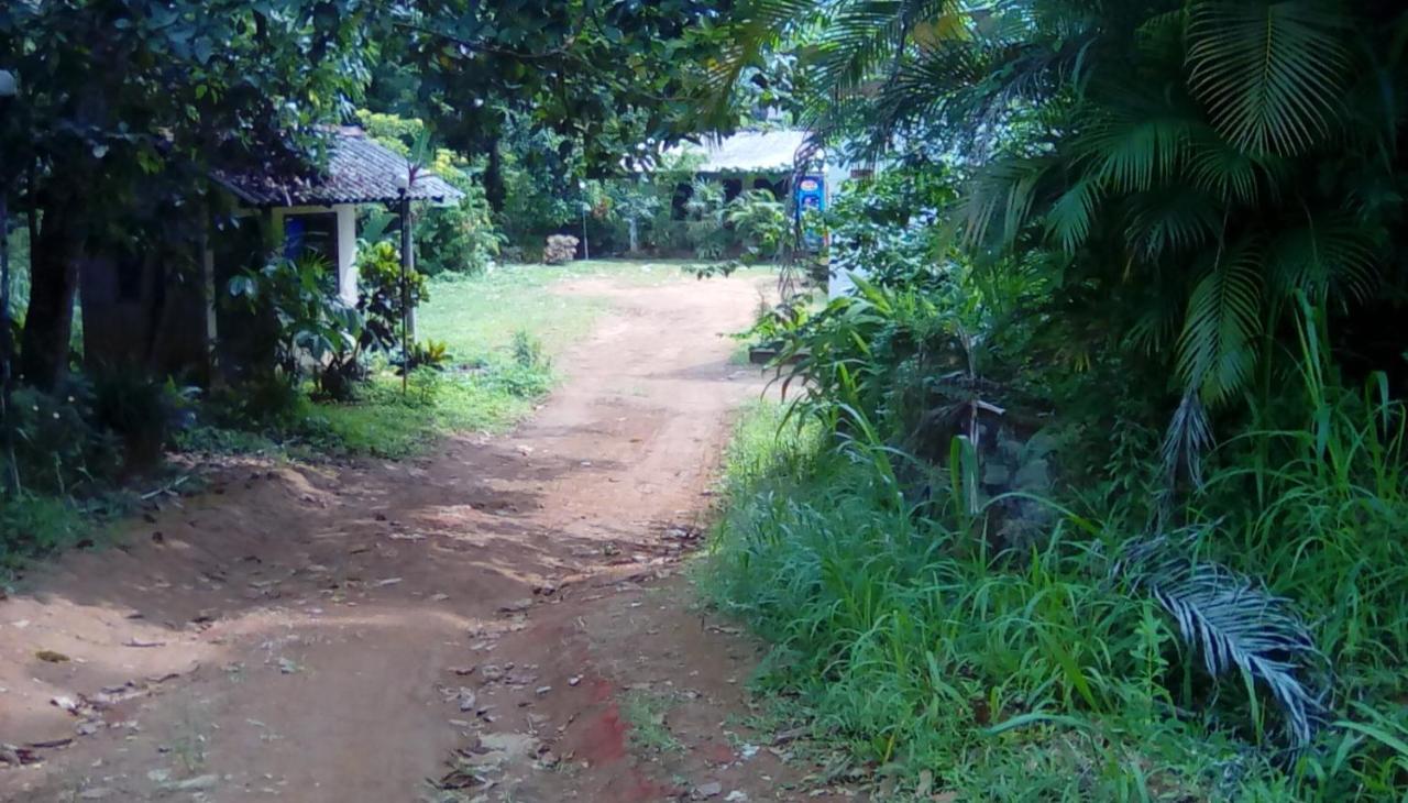 Leaf Guest House Gampola Exterior foto